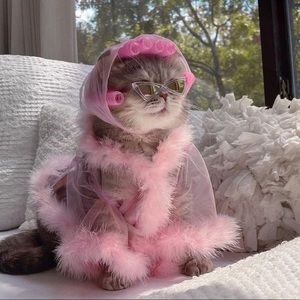 Meet your Posher, Samantha